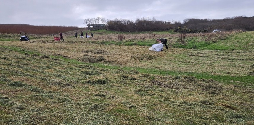 Volunteers working on the meadow - Hawsker Bottoms 12 November 2024 © Richard Baines
