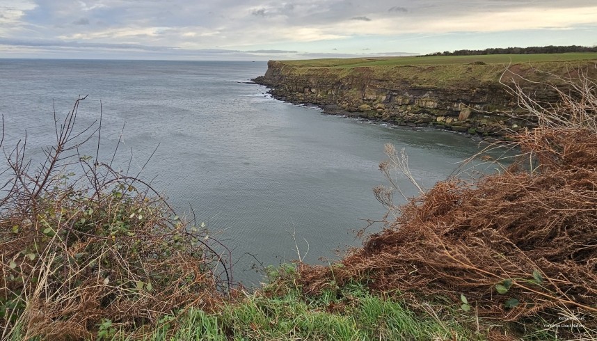 Looking south towards Long Nab © Richard Baines