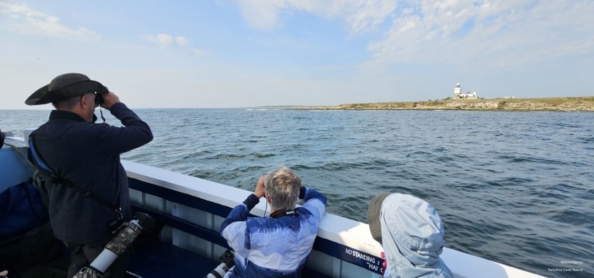 Coquet Island in search of Roseate Terns - June 2025 © Richard Baines