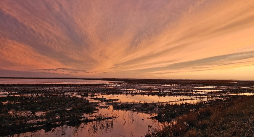 The Humber Estuary Sunset at Outstrays October 2025 © Richard Baines