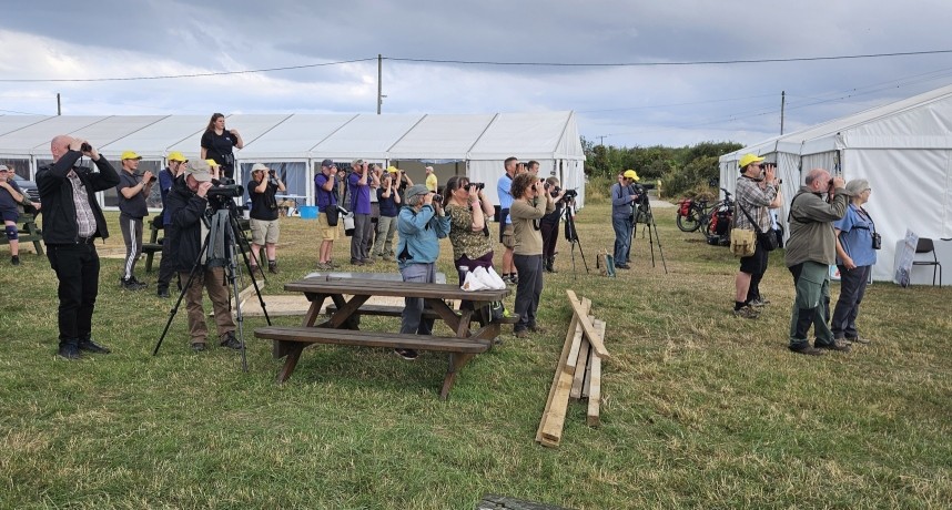 Watching the Honey Buzzard - Migfest 8 September 2024