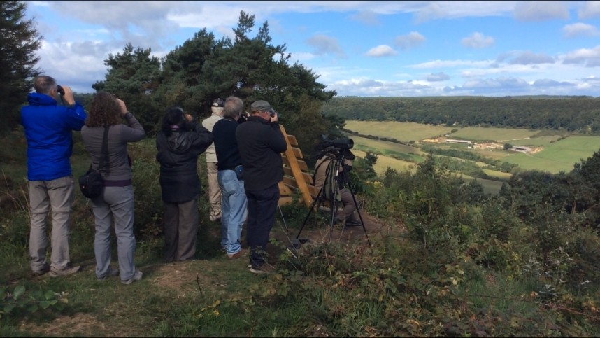 Raptor watching with YCN